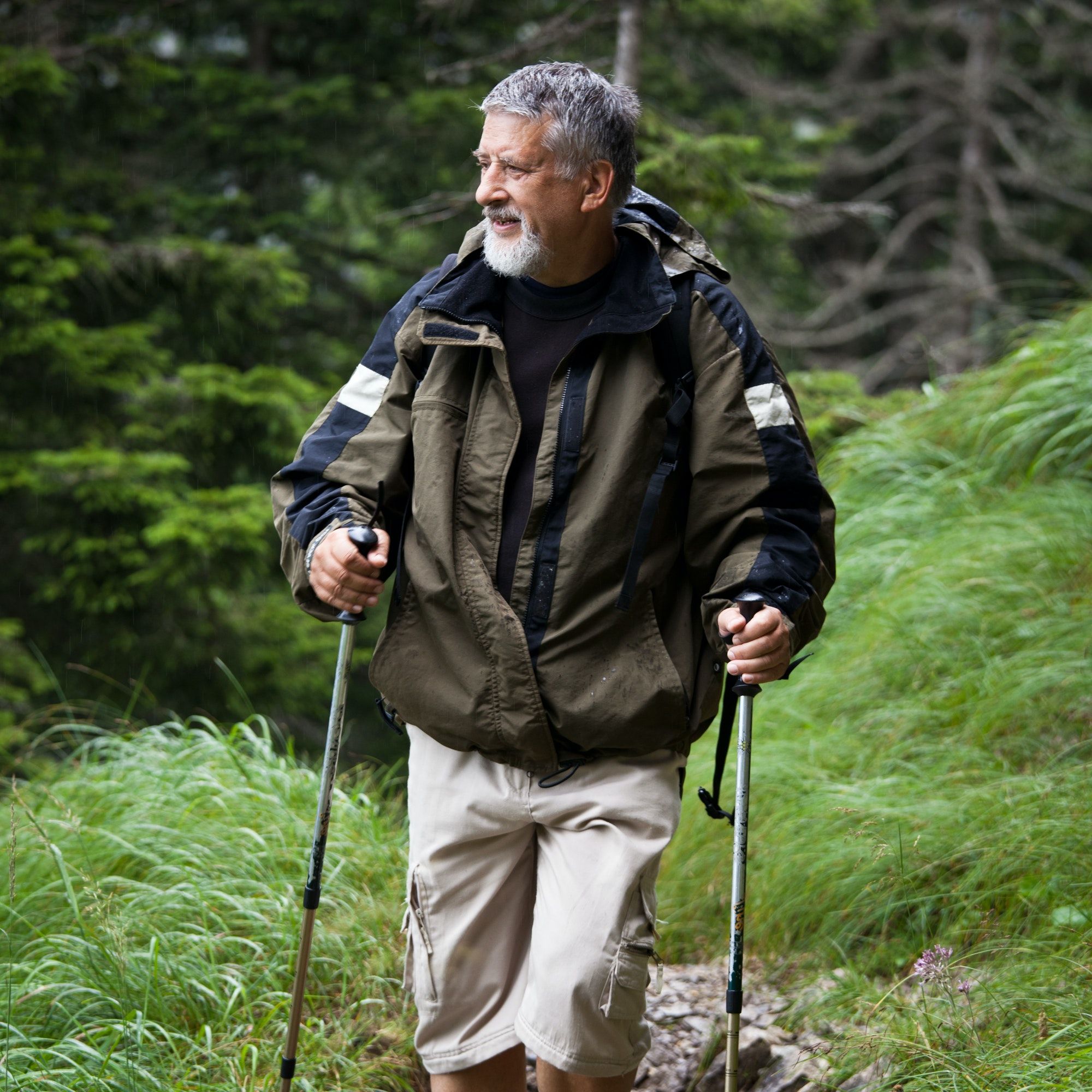 active handsome senior man nordic walking outdoors on a forest p